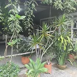 Tartaruga Marinha Guest House