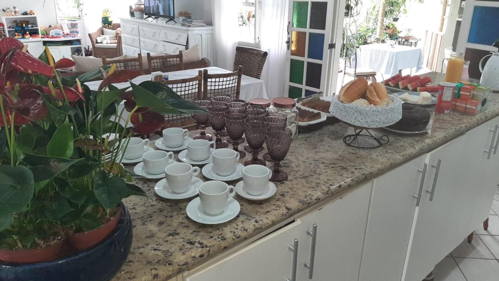 Tartaruga Marinha Albergue Ubatuba