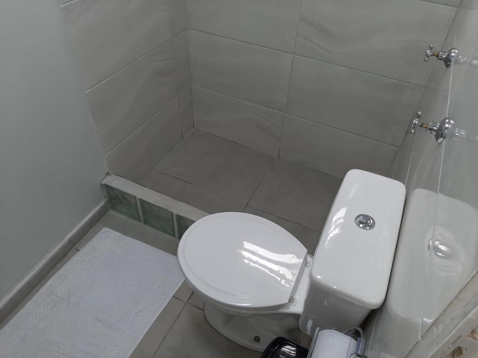 Tartaruga Marinha Albergue Ubatuba